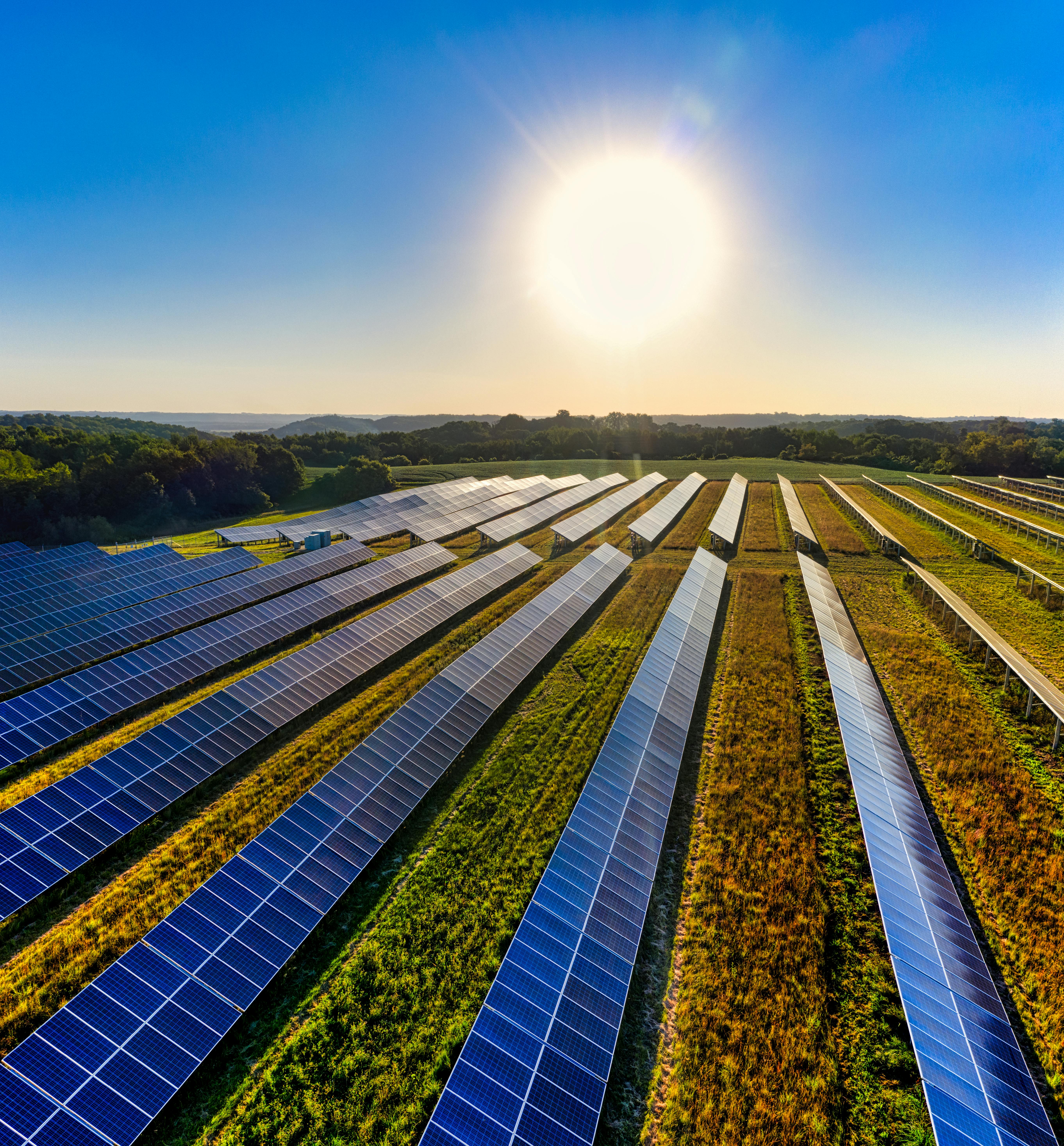Solar Farm
